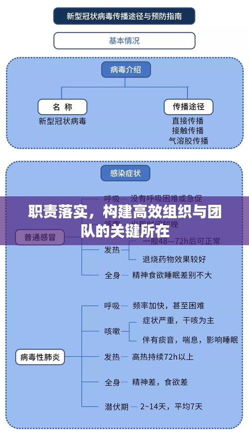 职责落实，构建高效组织与团队的关键所在