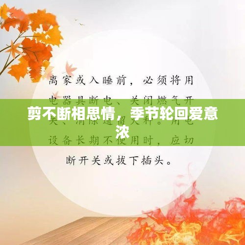 剪不断相思情，季节轮回爱意浓