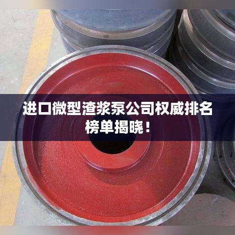进口微型渣浆泵公司权威排名榜单揭晓！