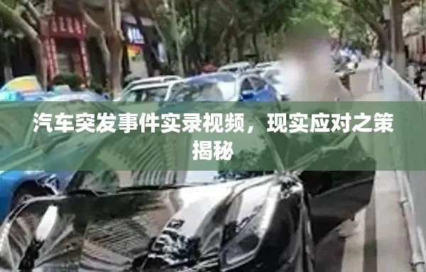 汽车突发事件实录视频，现实应对之策揭秘