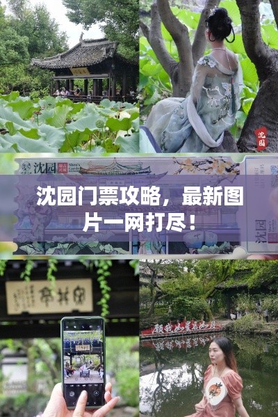 沈园门票攻略，最新图片一网打尽！