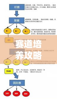 赛道培养攻略大揭秘，高效打造人才成长赛道！