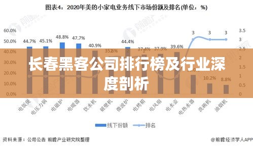 长春黑客公司排行榜及行业深度剖析
