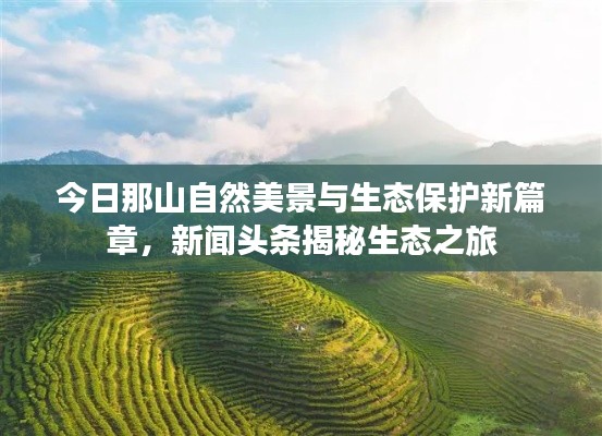 今日那山自然美景与生态保护新篇章，新闻头条揭秘生态之旅